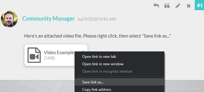 Screenshot showing how to right-click a file in a feedback comment to save it